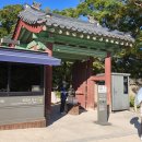 태종동물병원 | 창경궁 춘당지 단풍, 후원보다 이쁜 창경궁 춘당지 추천