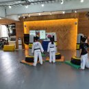 용인대 태권도 체육관 이미지