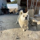 단석리산촌생태마을 이미지