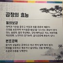 은혜빌딩 | [서울 문정] 저녁식사 겸 안주로 딱인 '은혜곱창' 내돈내산(후기, 메뉴, 주차)
