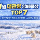 선들목장 네이버블로그