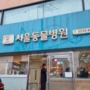 (주)서울동물병원 이미지