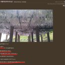 미라클모닝 | 1년정도 미라클 모닝 성공하다 실패하고 다시 도전하는 후기