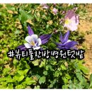 뷰티풀한방병원 이미지