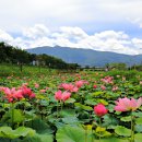 황산공원 캠핑장 오토사이트 이미지