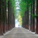 동명(부산)휴게소 이미지