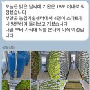 우림팜 티스토리