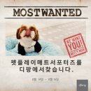 플레이펫 이미지