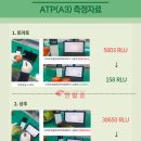 틈새네야채가게