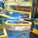 e참아름마트 이미지