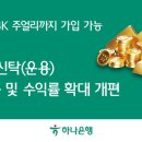 골드연