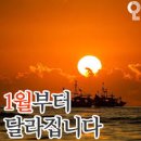 다짐 네이버블로그