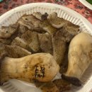 금산서울팬션민박 | 대전 근교 촌캉스 금산 소망별채 우정여행 추천