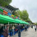 선명이네 이미지