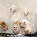 주견야독 이미지