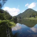 푸른산농원 이미지