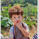 주사랑어린이집 이미지