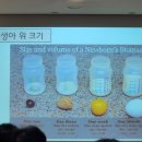 p53. 시온 샬로머 문화연수원 곽윤철 부모 교육 수강 후기_ 놀먹잠, 수면교육, 패턴육아