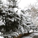 권선3공원 이미지