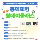친환경 식물로 소품만들기 서울신문