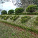 경포 태양광발전소 이미지