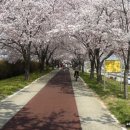 맥도생태공원 이미지