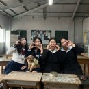 제주애견학교 네이버블로그