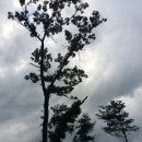 장찬길 이미지