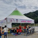 품바라이브7080 | 평창 백일홍 축제 다녀왔어요~