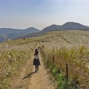 한가로이 경주 이미지