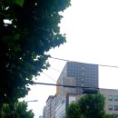 버드나루로 이미지