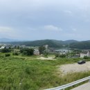 포레스트173