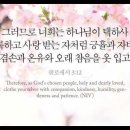 오늘의 '영어성경 사진'(809강) “하나님이 택하신 사람들”(골로새서 3장 12절) 이미지