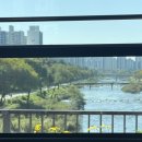 강릉굿모닝 | 25년 10월 혼자 강릉