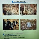 죽변북로 (중2-1) | [울진 여행 -2] 돌섬식당 / 성류굴 / 죽변수산물시장 / 덕구솔밭 옹심이 칼국수 / 포항휴게소 후기