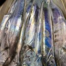 고흥-6호 이미지