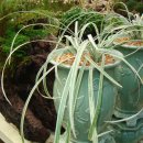 백룡농장 이미지