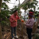 서주길(와룡면) 이미지