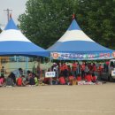 상주초교 이미지