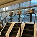 부평 프리웨이트 헬스 PT 이미지