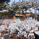 우리한우마을 이미지