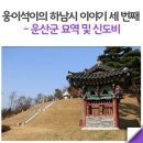 밀성군 묘역 및 신도비 이미지