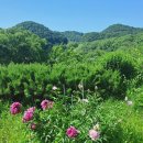 기차길옆 이미지