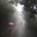 산사가는길 이미지