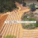 칠현농원