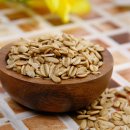 카디오짐 이미지