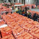 더드림마트 이미지