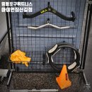 아이언짐 신길점 | [영등포] 신길동PT 신풍역 휘트니스 추천, 아이언짐 신길점