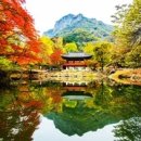 단풍스테이 이미지