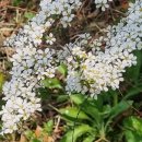 광려천 남로 이미지